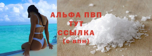 стаф Балахна