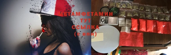 ГАЛЛЮЦИНОГЕННЫЕ ГРИБЫ Вяземский
