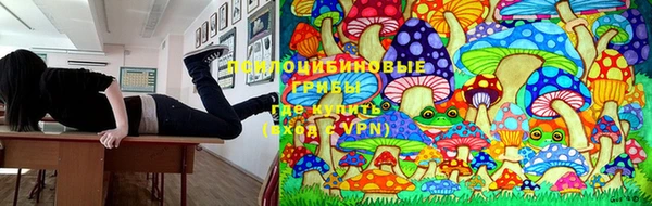 стаф Балахна