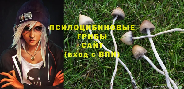 сатива Армянск